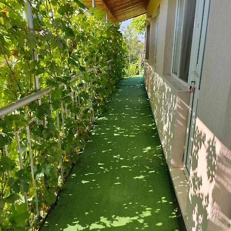 Вила Борко Hotel Krapets  Luaran gambar